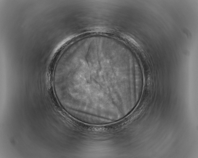 X0000113071310200909250921