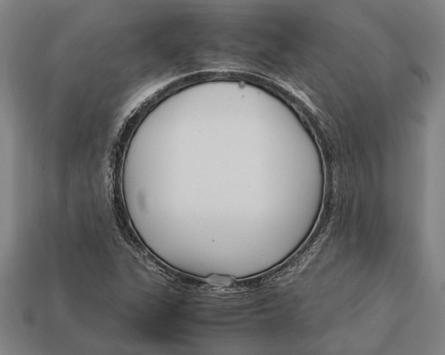 X0000113071311200909250921