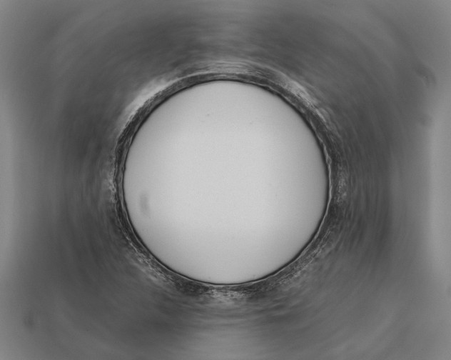 X0000113071312200909250921