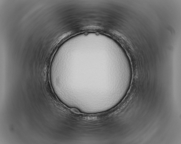 X0000113071313200909250921