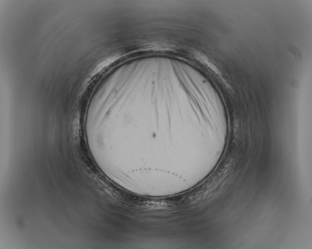 X0000113071315200909250921