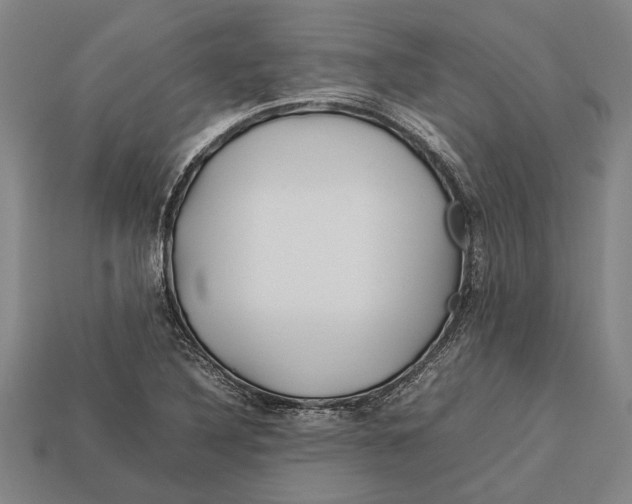 X0000113071316200909250921