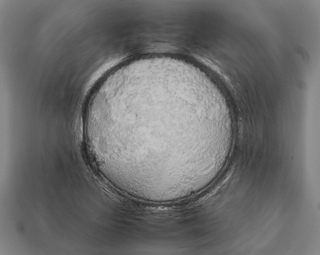 X0000113071317200909250921