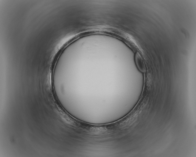 X0000113071320200909250921