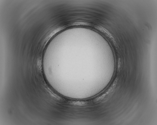 X0000113071321200909250921