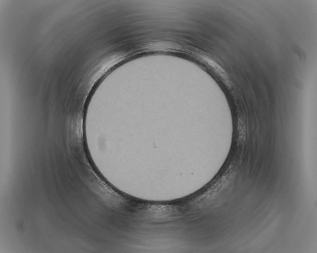 X0000113071322200909250921