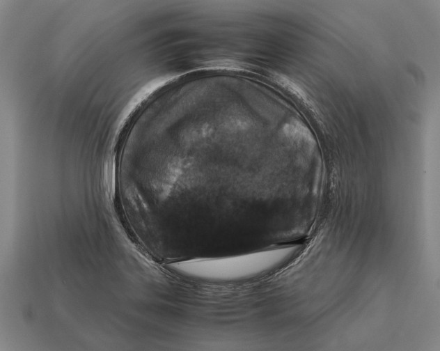 X0000113071323200909250921