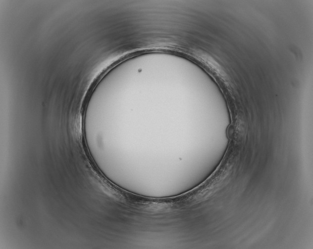 X0000113071324200909250921