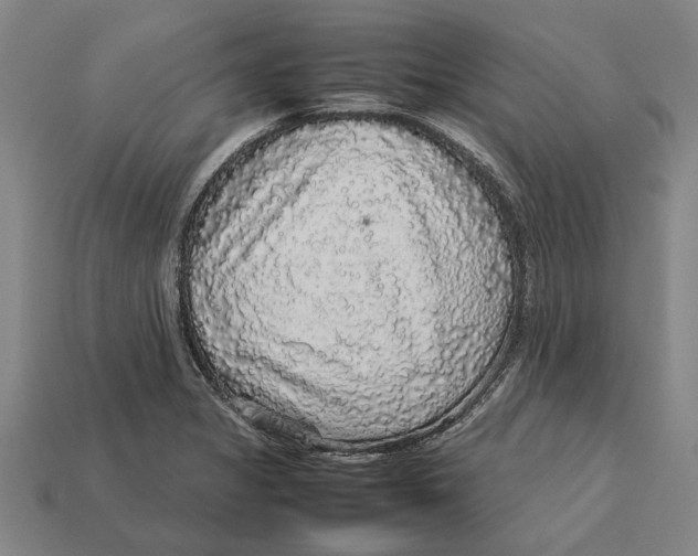 X0000113071325200909250921