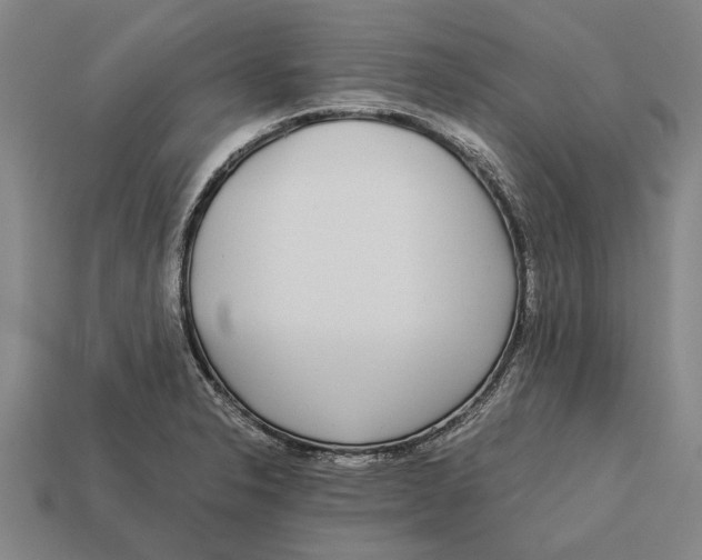 X0000113071326200909250921