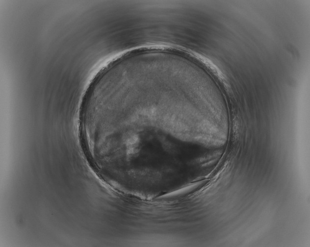 X0000113071327200909250921