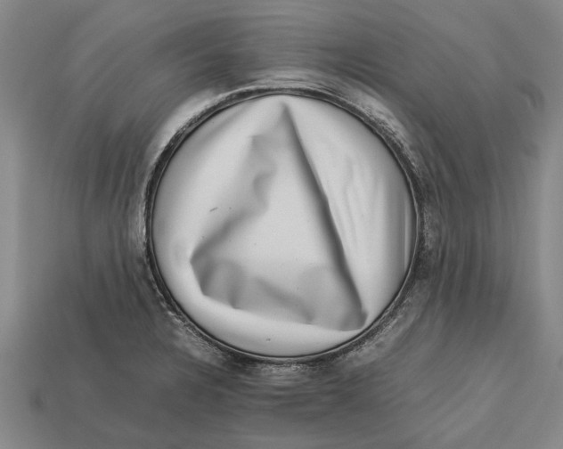 X0000113071328200909250921