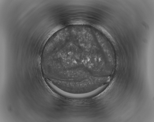 X0000113071329200909250921