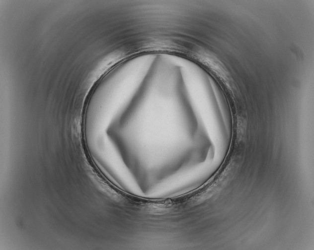 X0000113071330200909250921