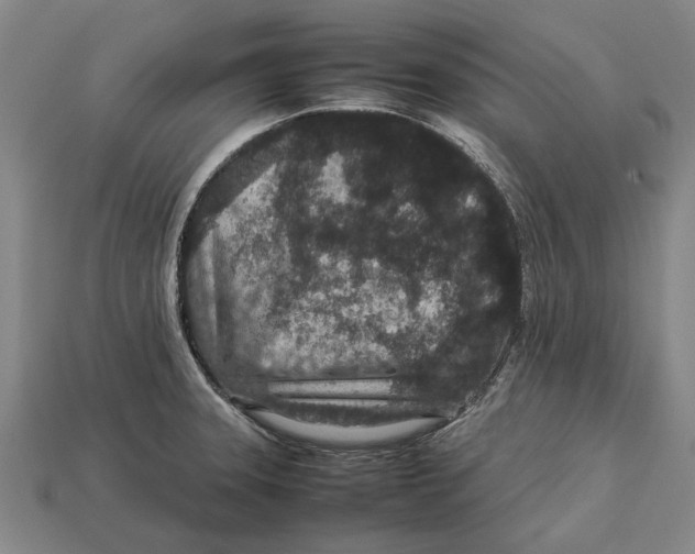 X0000113071331200909250921