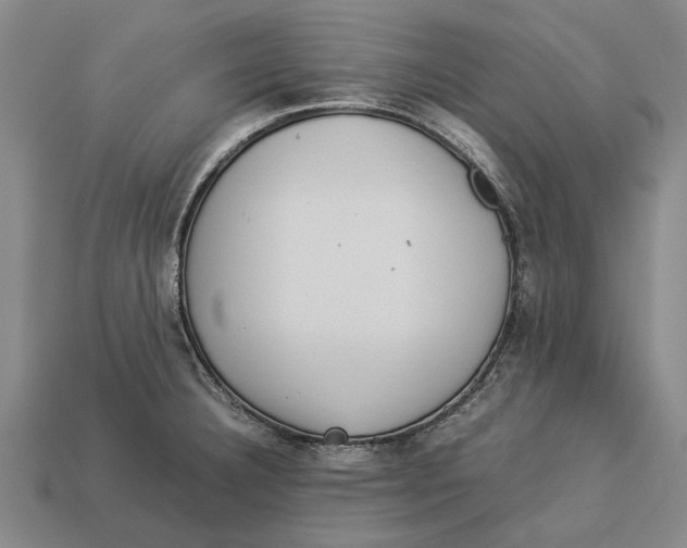 X0000113071332200909250921