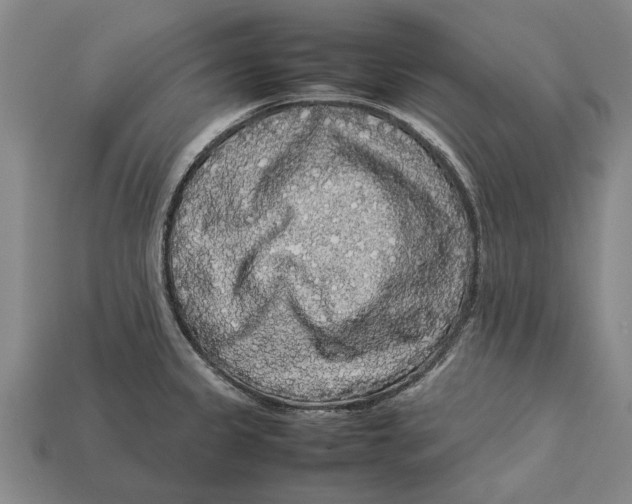 X0000113071333200909250921