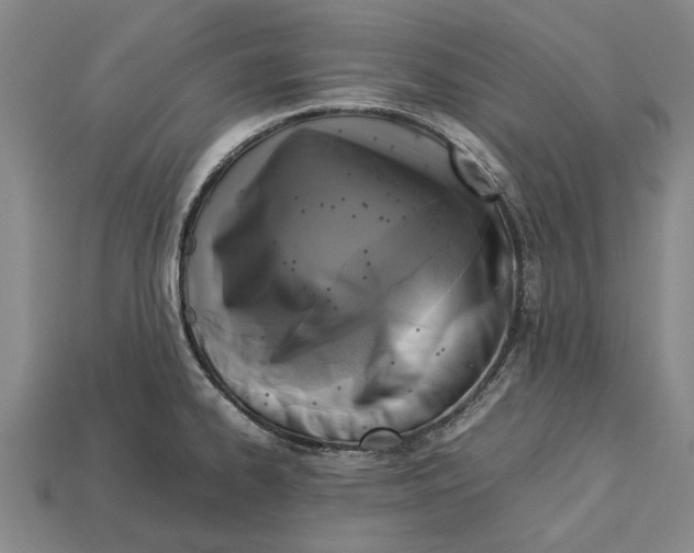 X0000113071334200909250921