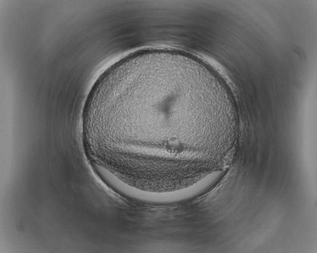 X0000113071335200909250921