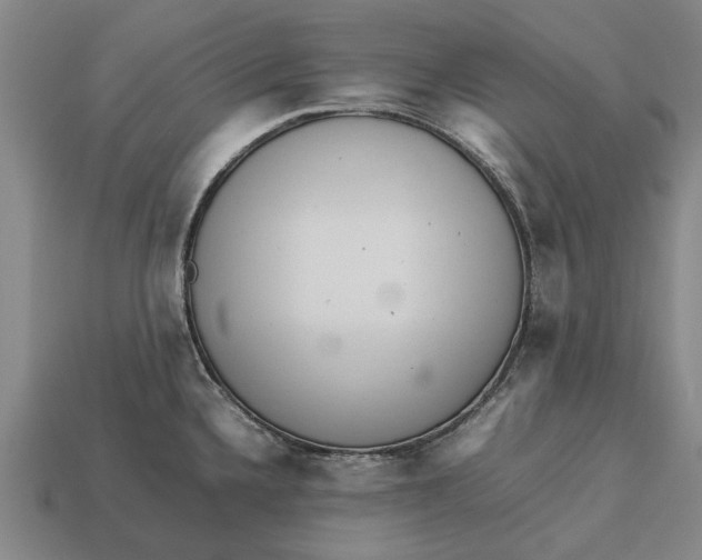 X0000113071336200909250921