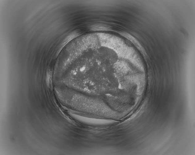 X0000113071337200909250921