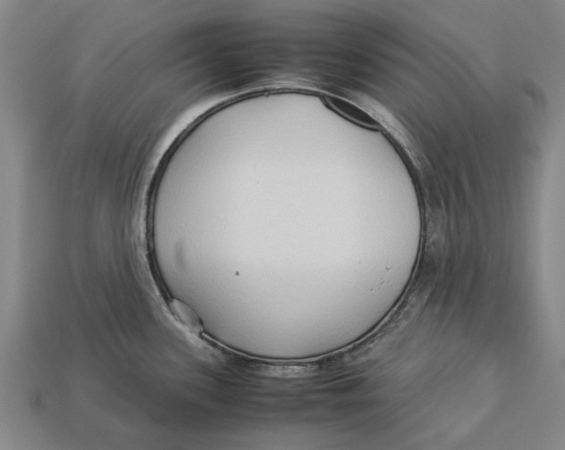 X0000113071339200909250921