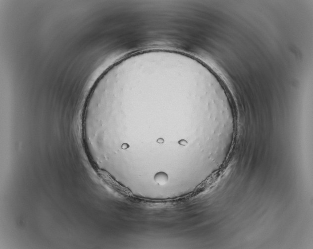 X0000113071341200909250921