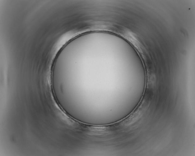 X0000113071342200909250921