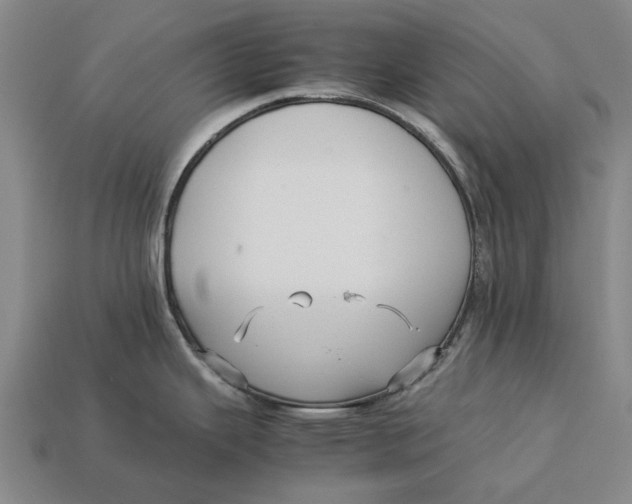 X0000113071343200909250921