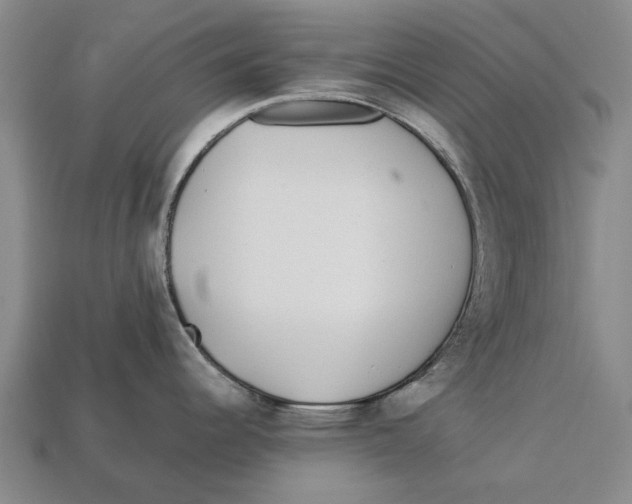 X0000113071344200909250921