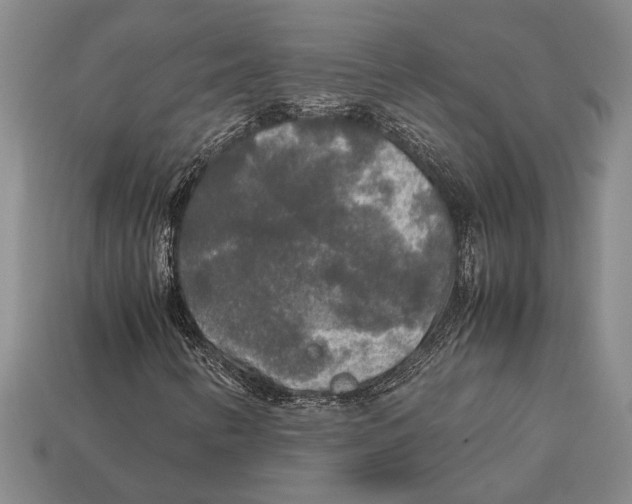 X0000113071346200909250921