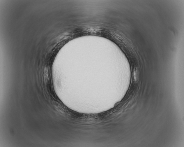 X0000113071347200909250921