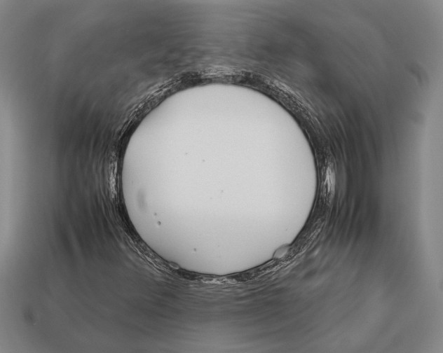 X0000113071348200909250921