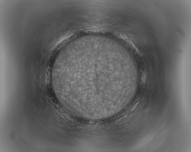 X0000113071350200909250921