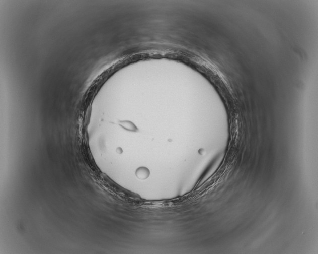 X0000113071352200909250921
