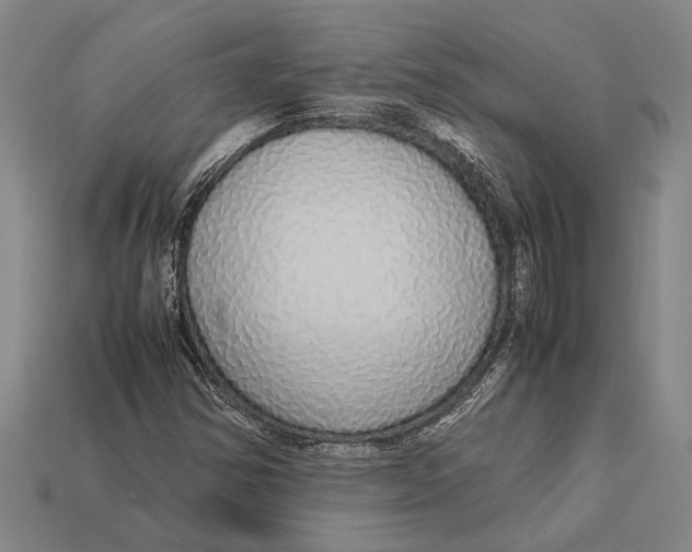 X0000113071354200909250921