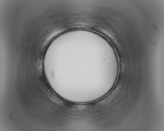 X0000113071355200909250921