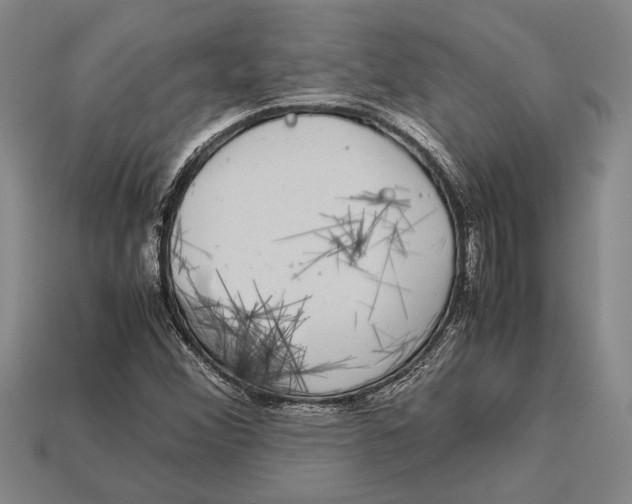 X0000113071356200909250921
