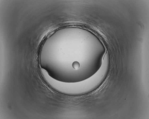 X0000113071357200909250921