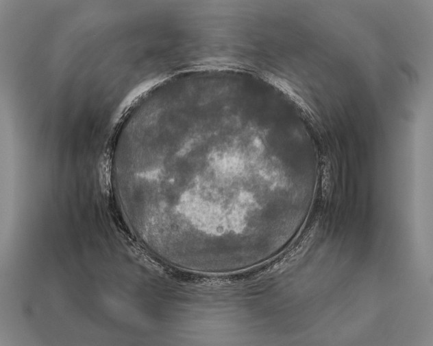 X0000113071358200909250921