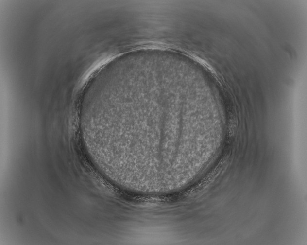 X0000113071359200909250921