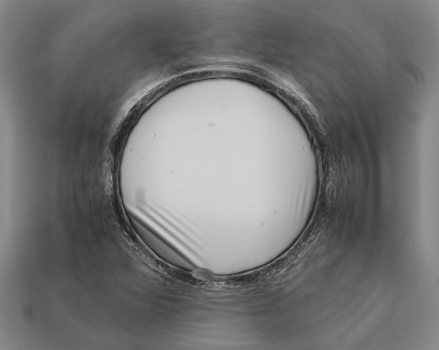 X0000113071360200909250921