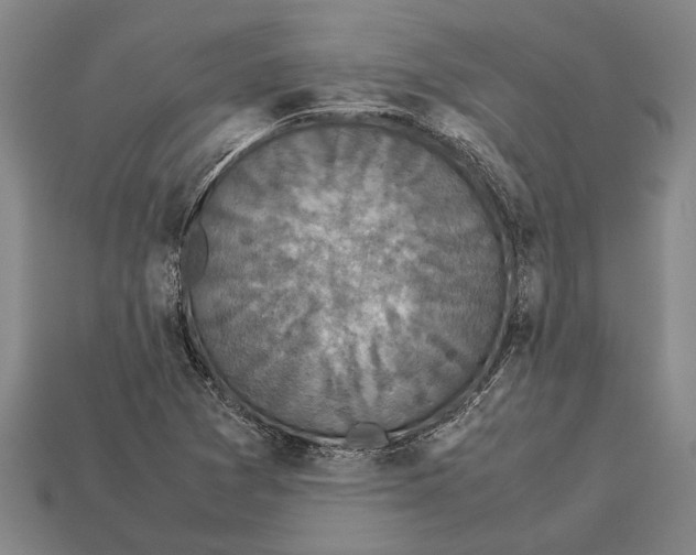 X0000113071361200909250921