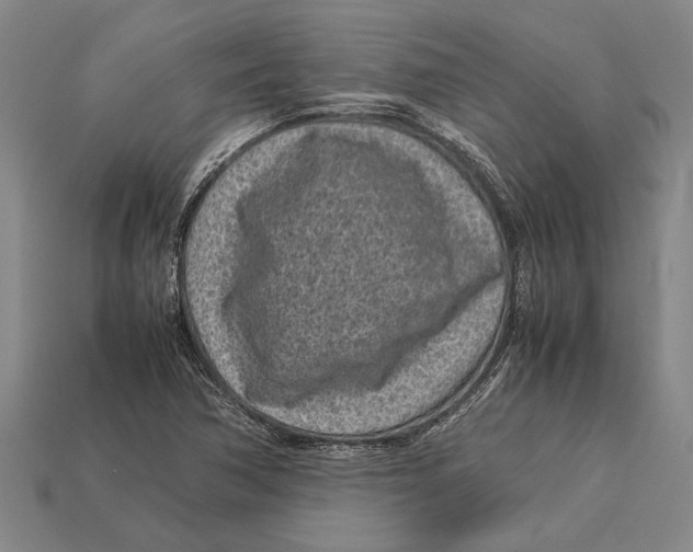 X0000113071362200909250921