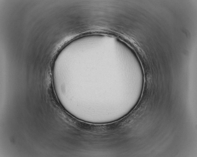 X0000113071363200909250921