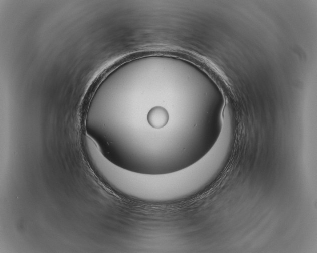 X0000113071364200909250921