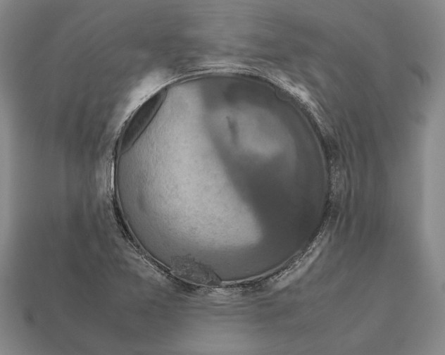 X0000113071365200909250921