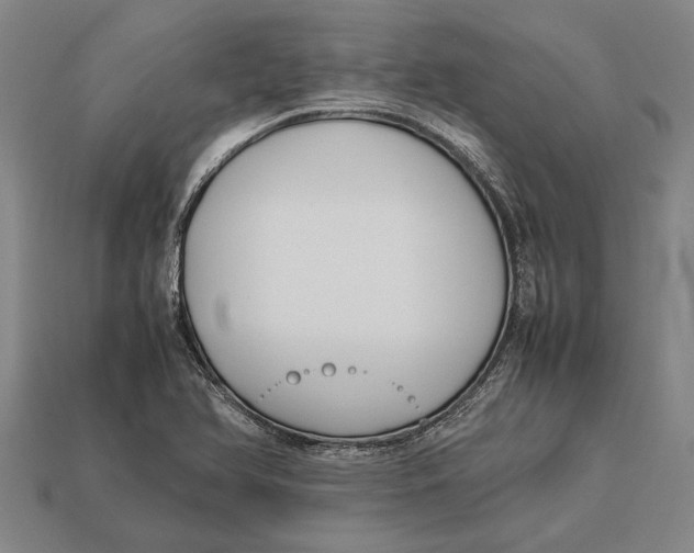 X0000113071366200909250920