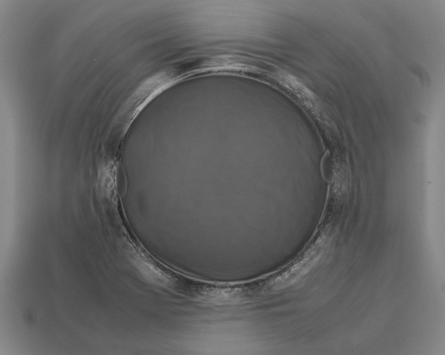 X0000113071369200909250920