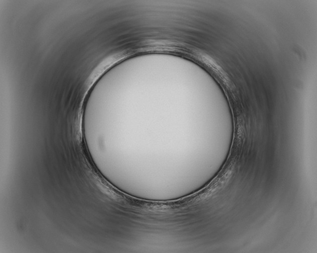X0000113071370200909250920
